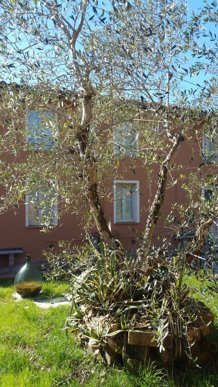 Querce  Ulivo Della Querceヴィラ エクステリア 写真